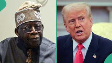 Did Donald Trump vow to stop Tinubu in 2027? Fact finally emerges