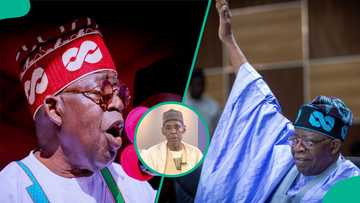 Tinubu should not seek re-election in 2027, Baba-Ahmed says, gives reason