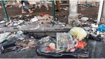 Small businesses losing millions in South Africa amid Jacob Zuma protest