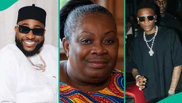 Female AI versions of Wizkid, Davido, Burna Boy, others go viral, ignite funny reactions online