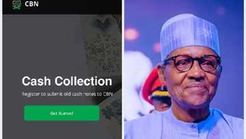 CBN opens portal for Nigerians to deposit Old 500, 1000 naira notes as Buhari Insists on deadline