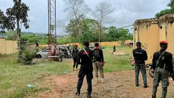 Tsagerun IPOB sun kone ofishin 'yan sanda, sun sheke jami'ai 2 a Anambra