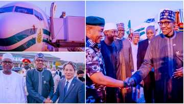 Just in: Buhari returns to Nigeria, photos show what president did before departing South Korea