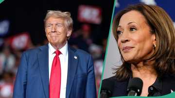 Donald Trump vs Harris: New poll shows who is leading as early voting records smashed in US