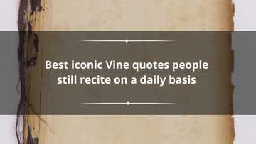 Best iconic Vine quotes people still recite on a daily basis