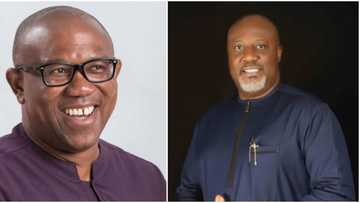 2023: Powerful Ex-Rep issues strong warning to Dino Melaye over comment on Obi's candidacy