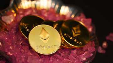 BlockDAG Surges with 20,000x ROI as Cardano and Chainlink
