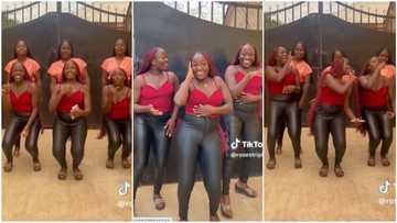 Beautiful triplet sisters in long braids dance with their triplet friends, shake waists gently in video