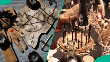 History of cultism in Nigeria: Interesting facts and details