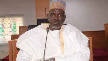 Borno deputy speaker opens up on how ISWAP fighters burnt his brother’s house