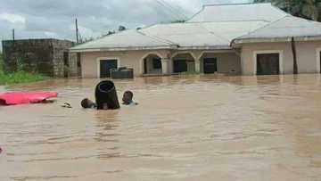 Many killed, displaced, crops destroyed as devastating flood rages across Nigeria