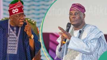 Tinubu's certificate: APC predicts what will happen to Atiku at Supreme Court