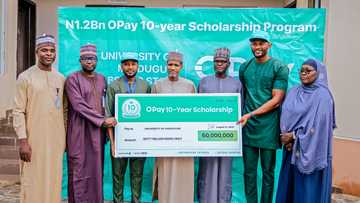 University of Maiduguri joins beneficiaries of OPay’s N1.2b 10-year scholarship programme