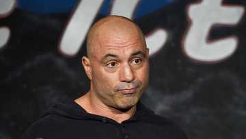 Best Joe Rogan podcasts that are fantastic