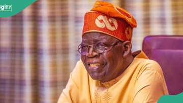 Sarki Mai Martaba a Arewa ya kare Shugaba Tinubu, ya faɗi namijin ƙokarin da yake yi