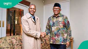 Peter Obi laments worsening plight of Nigerians abroad as many reject return from South Africa