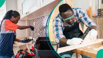 Austria opens 196,000 job opportunities for Nigerian plumbers, carpenters, nurses, others