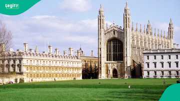 Cambridge Professor Jason Arday resigns amid new probe into his qualifications