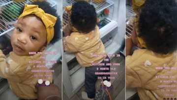 Grandma in Shock as She Bumps Into Little Girl Licking Refrigerator, Video Goes Viral