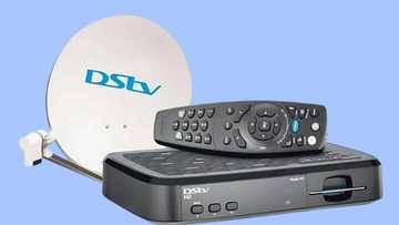 DStv Compact channels and subscription price in Nigeria 2024