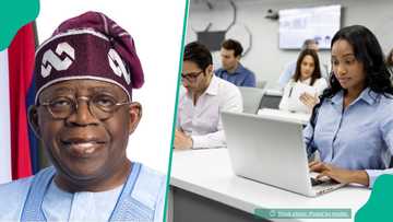Good news for Student Entrepreneurs as FG partners BoI to launch N50 million fund, details emerge