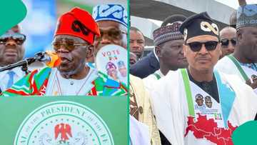 'Yan Najeriya na kaunar Tinubu ba kamar yadda ake gani a kafafen sadarwa ba'