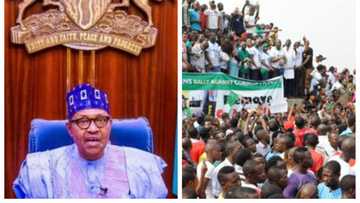 Bikin ‘yancin-kai: Yadda ‘Yan Najeriya su ka yi wa Shugaba Buhari raddi a Twitter