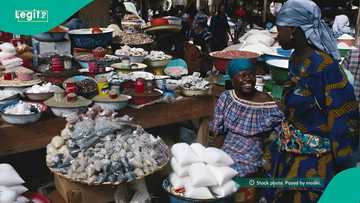 How the Sahel levy tests Africa’s resolve to build a single market, by Sami Tunji