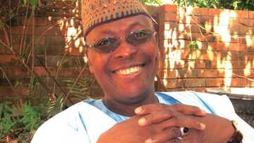 Dalilinmu na cire Dr Junaid a takarar mataimakin shugaban kasa - SDP