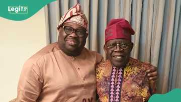 Nationwide protest: “Resist temptations of full-blown dictatorship,” Dele Momodu writes Tinubu