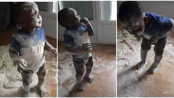 "He collect woto woto": 'Mischievous' kid spills powder, messes up himself, gets caught by mum in video