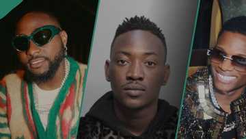 Davido, Portable,Tekno, two other musicians Dammy Krane has fought with