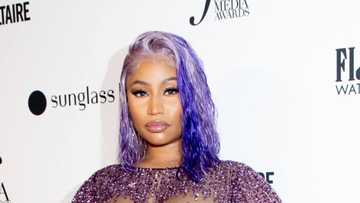 Does Nicki Minaj have a twin sister? Unraveling the mystery