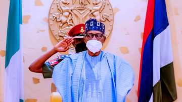 The good, the bad and the ugly: Analysing President Buhari’s Arise News interview