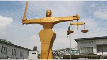 "I don't have transport fare": Drama in Kaduna court as Man fails to show up for divorce case