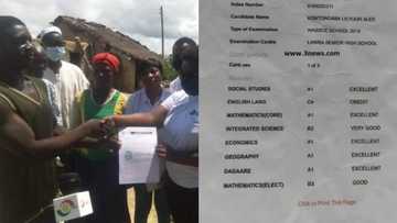 Student who had 5 A's in WAEC now works on farm because there's no money to pay university school fees