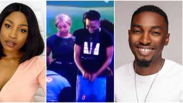 BBNaija: Jay Paul and Jackie B become Heads of House, remaining 15 housemates up for eviction