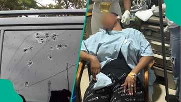 Adwoa Safo injured as six arrested over shooting incident in Ghana