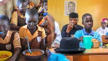 It's an avenue to perpetuate corruption - NANS vows to stage "mother of protest" against FG's school feeding plan