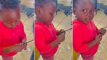 "How did she learn so fast?" Talented 4-year-old hairdresser goes viral as video of her handwork surfaces