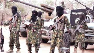 'Yan Boko Haram Sun Zaƙewa Matan Aure a Niger Bayan Sun Musu Girki Sun Cinye