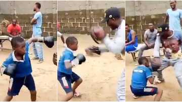 Little boy with potential in boxing warms hearts with amazing jabs, displays skills with speed of light (video)