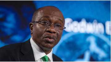Nigerian banks, forex dealers risk sanction over rejection of old dollar bills