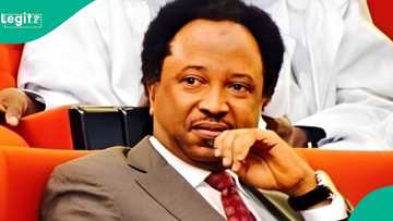 Shehu Sani ya yi karatun ta natsu, ya gano hanyar magance matsalar 'yan bindiga