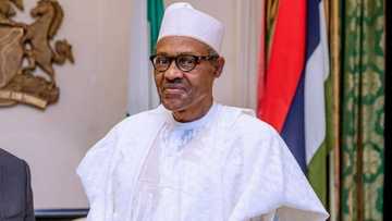 Buhari ya bayyana abinda zai yi bayan karewar wa'adin mulkinsa