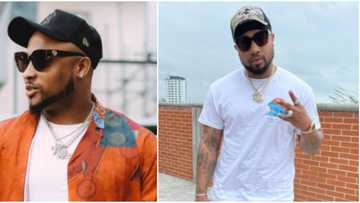 Money is paper: Davido's cousin BRed brags as he rains cash on fan during stage performance, Nigerians react