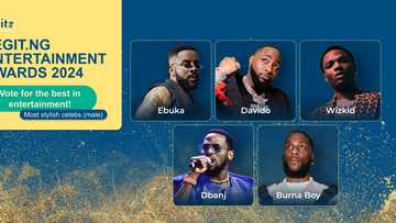 Legit.ng Announces Entertainment Awards for 2024. Declares Voting Lines Open