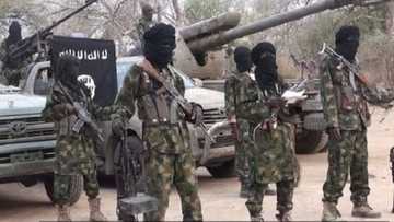 Da duminsa: Kungiyar Boko Haram (ISWAP) ta barke gida biyu
