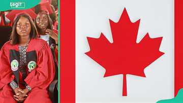 What is the real cost of converting a Nigerian degree into a licensed profession in Canada?