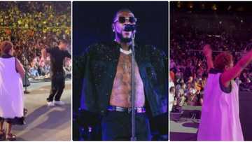 Burna Boy’s mum celebrates his successful outing at Hollywood Bowl, dances on stage as she appreciates fans